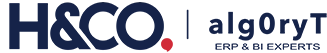 H&CO – Algoryt | SAP Business One